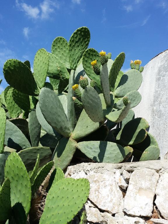 Il Melograno Panzió Ceglie Messapica Kültér fotó